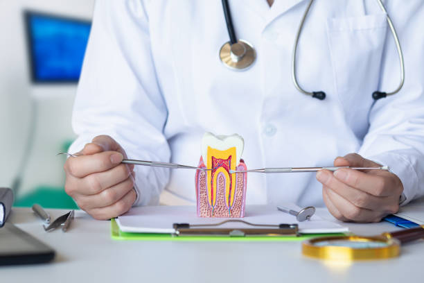 Best Walk-In Emergency Dentist in Lanse, MI